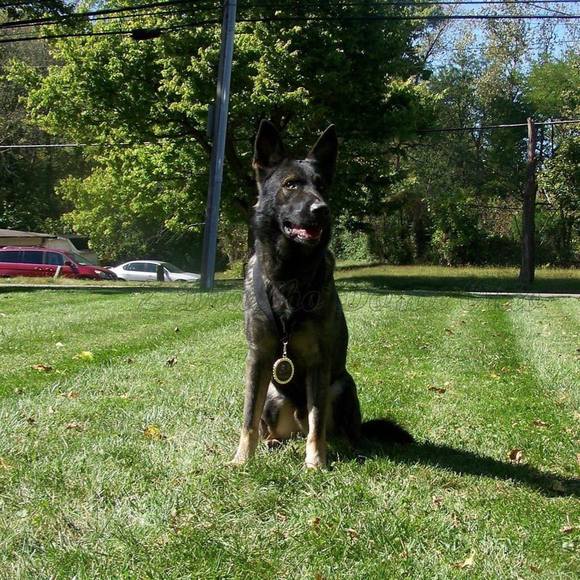 Meet your Posher, Marcus - Picture 1 of 1